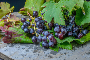 Bunch of fresh grapes_02
