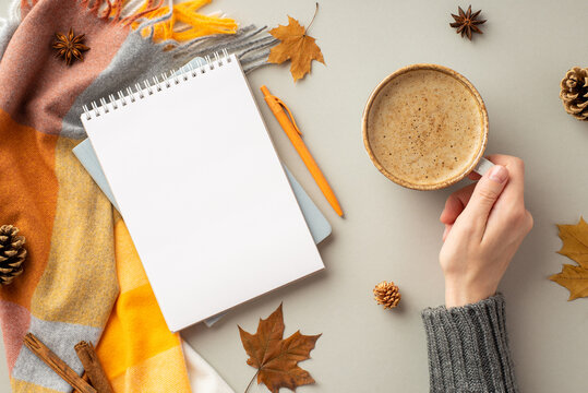 First person top view photo of female hand in knitted pullover holding cup of coffee diary pen plaid yellow maple leaves pine cones anise cinnamon sticks on isolated grey background with empty space