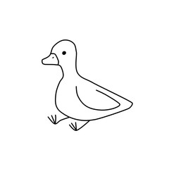 Simple vector illustration hand drawn of animal duck for kids colouring book
