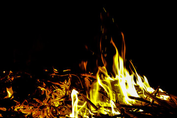 black background There is a red, orange, and black flame that is beautiful.