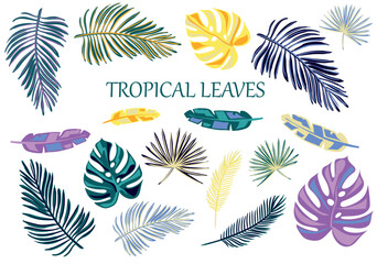 Fototapeta na wymiar Tropical leaves set. Leaves isolated on white background.