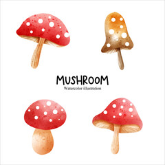 Watercolor mushroom, vegetables vector illustration - obrazy, fototapety, plakaty