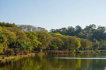 Fototapeta premium Parque com muitas arvores e um lago bonito. Local turístico e relaxante. 