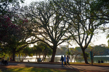 Fototapeta na wymiar Paisagem do parque municipal com muitas arvores e um lago 