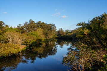  Paisagem do parque municipal com muitas arvores e um lago