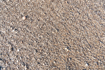 Large coarse wet sea sand consisting of fragments and debris sea shells. A great background for your design.Sea voyages. Copy space.