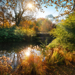 Obraz premium Colorful autumn scenery in a park with the sun reflected in water, blue sky and beautiful vegetation framing the scene