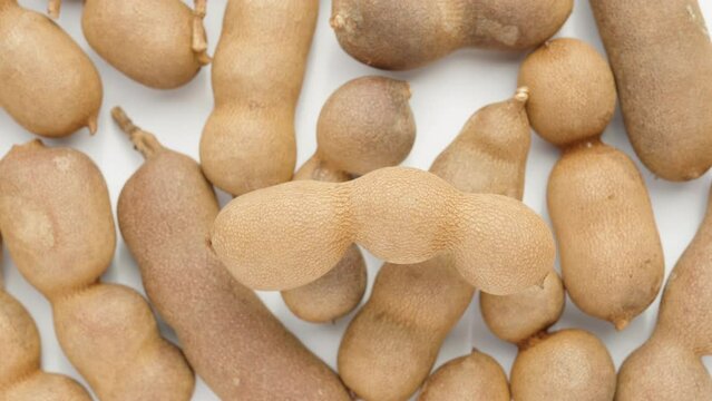A lonely tamarind rotates against the background of other tamarinds, top view, close-up.