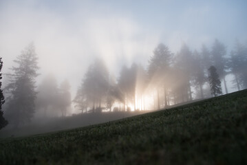 Fototapeta na wymiar Foggy Morning