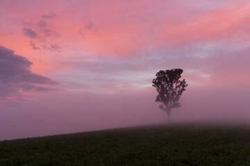 Fototapeta na wymiar Morning fog in Turiec region in Slovakia.