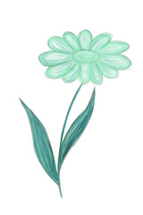 Stylish watercolor green flower in a childish style. Hand-drawn elements for textiles, fabric, wallpaper, stationery, posters, prints, invitations, cards, baby shower, nursery graphics.