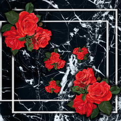 red rose on black background, marble pattern and silkcarf