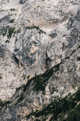 face in the mountains