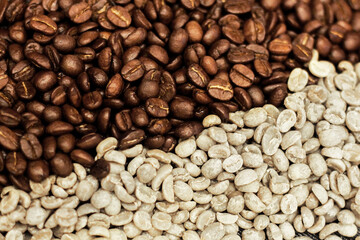 Close up. Different levels (types) of roasting coffee beans (arabica) on a plate starting from the left from the darkest (strong roasting) to the right to the lightest (raw coffee beans). Milan, Italy