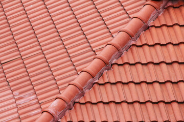 Long exposure small star neon lights texture. Modern art. Abstract star colorful neon light.