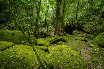 Beatifull green lanscape and waterfall