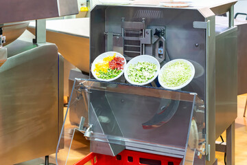 Sample vegetable and fruit in bowl after process chopping by automatic commercial vegetable slicer...