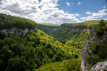 Fototapeta na wymiar Beautiful gorge among the mountains. Trees and forest grow right on the slope. Sunny summer day. Beautiful nature. High mountains.
