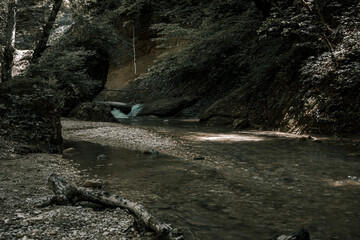 Beautiful mountain river. Sunny summer day. Green trees. Forest in the mountains. Beautiful nature. Stones on the bank of a mountain river. Cold water. Fast current.