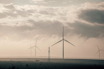 High wind generators in the field. Beautiful dawn. Wind power plant. Big blades. Beautiful dawn.