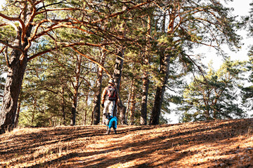 Obraz premium Rear view of man with backpack walking up mountain in forest with mixed breed dog in warm blue suit in autumn or winter hiking and traveling with pets nature explorer pet adoption
