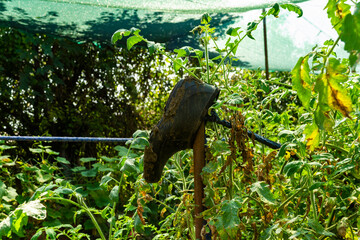 The end of the garden season. Old galoshes on a wooden stick in the garden, vegetable garden. Close-up. Background.