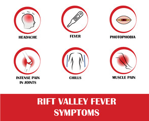 Rift valley fever symptoms, icon of headache, fever, photophobia, intense pain in joints, chills, muscle pain