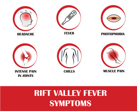 Rift Valley Fever Symptoms, Icon Of Headache, Fever, Photophobia, Intense Pain In Joints, Chills, Muscle Pain