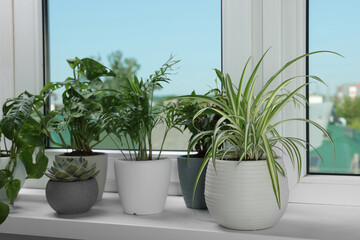 Different beautiful potted houseplants on window sill indoors