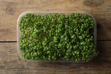 Sprouted arugula seeds in plastic container on wooden table, top view