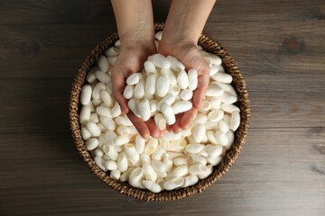Woman holding white silk cocoons over bowl on wooden table, top view