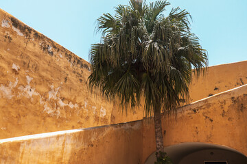 paisaje baluarte