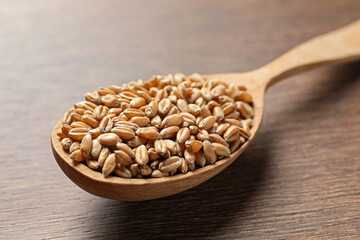 Wheat grains in spoon on wooden table, closeup