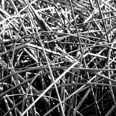 pile of nails