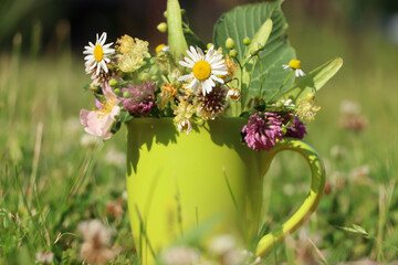 Green cup with different wildflowers and herbs in meadow on sunny day, closeup