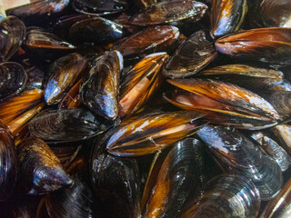 pepata di cozze
