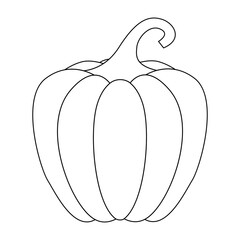 Pumpkin with a black outline. Vector illustration of a hand-drawn pumpkin on a white background. An element for autumn decorative design, an invitation for Halloween.Pumpkin Icon White Background