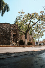 campeche