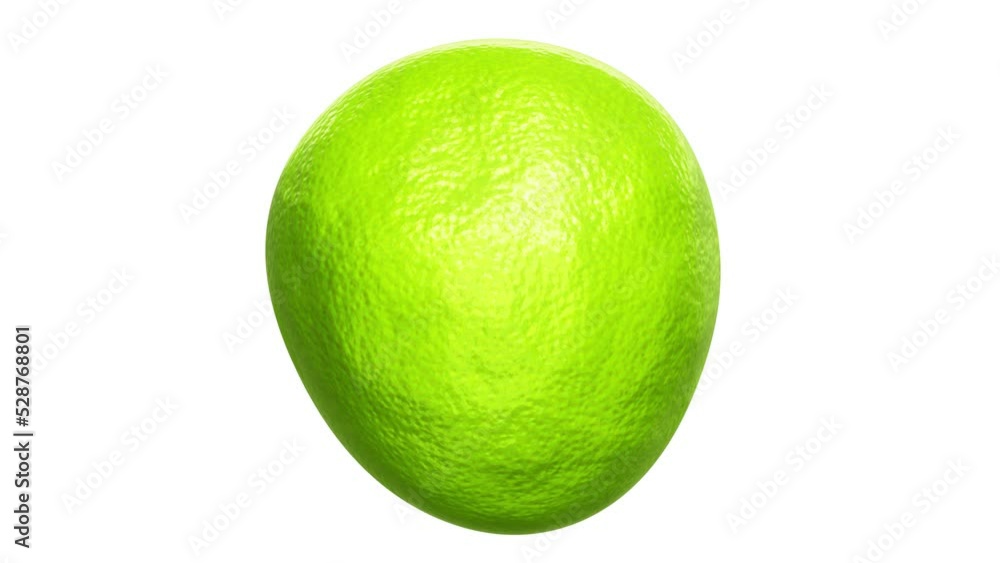 Aufkleber realistic looping 3d animation of the abstract beautiful morphing lime peel bubble rendered in uhd w