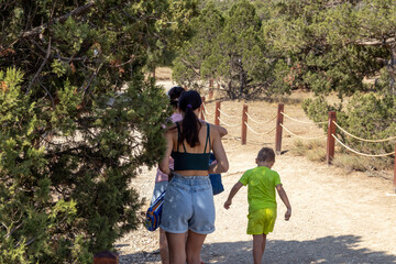 Beautiful view of the mountains of the reserve in summer; the family walks along the equipped path in the juniper grove.