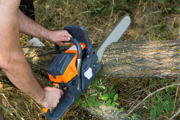 Lumberjack cutting a log with a chainsaw in the forest on a summer day. Preparing firewood for the winter concept. Close up, selective focus