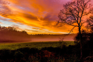 Obraz premium Sunset sunshine winter morning