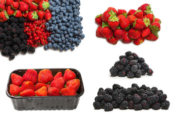 Blackberry, raspberry, blueberry,  red currant and mint background.