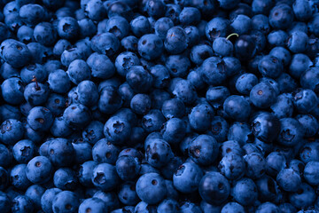 Fresh blueberry background. Texture blueberry berries close up.