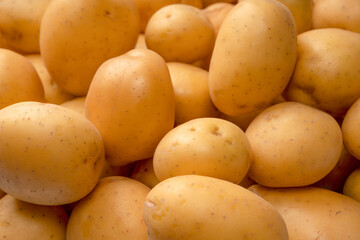 A group of fresh tasty potato as  background.