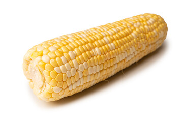 Yellow sweet corn isolated on white background. Copyspace.