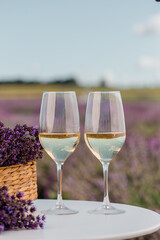 Two Glasses of white wine and bottle in a lavender field in Provance. Violet flowers on the...