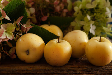 Fresh ripe apples and  hydrangea flowers on the table close-up on vintage wooden background, selective focus.