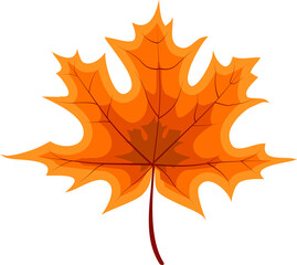 Autumn Orange Fallen Leaves