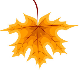 Autumn Orange Fallen Leaves